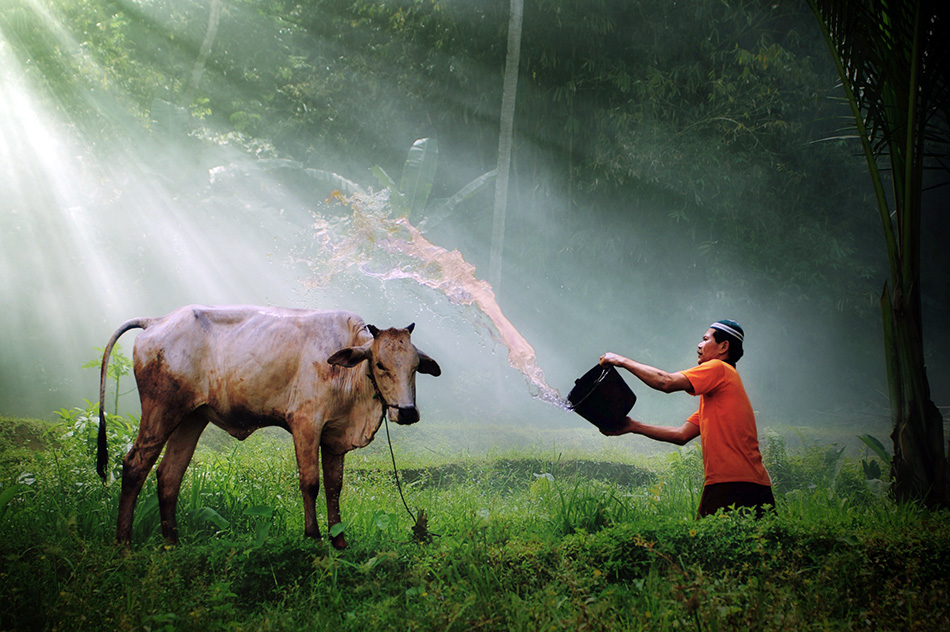 Rinse cycle « MyConfinedSpace